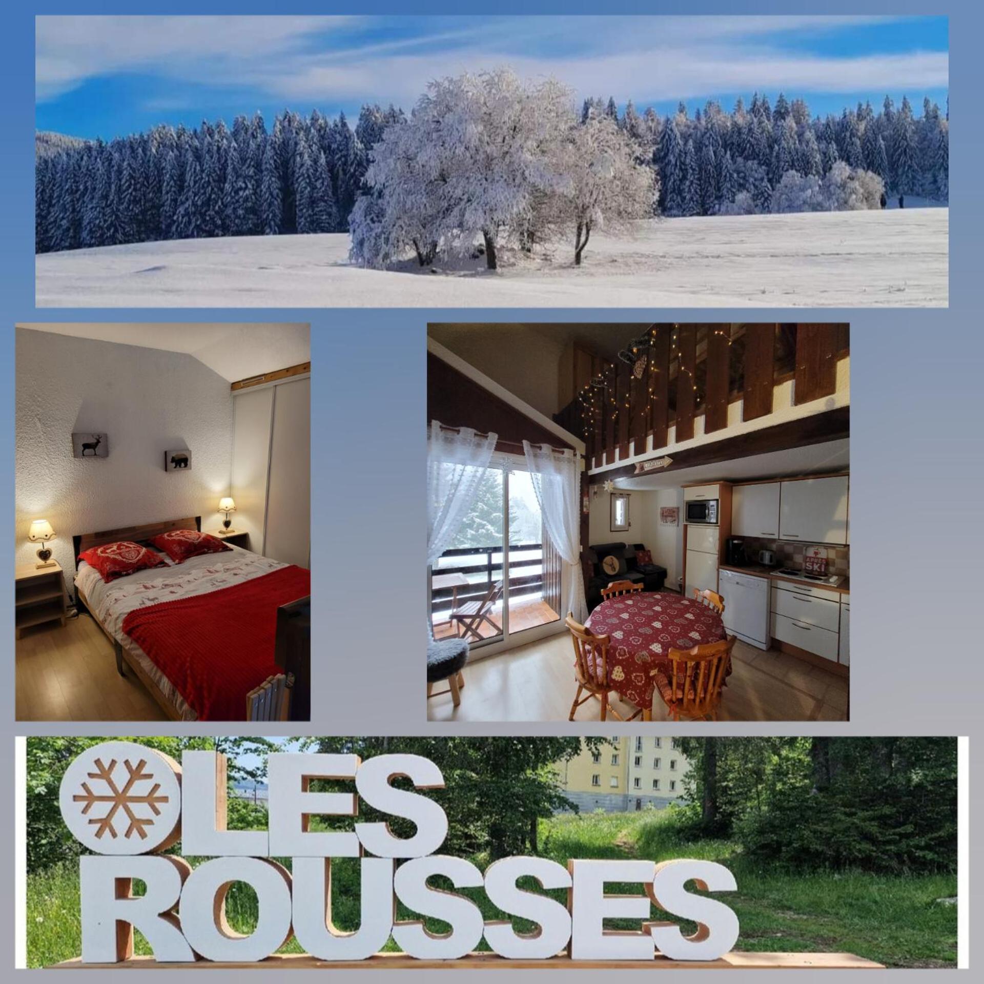 Le Duplex, Superbe Cocon Au Coeur Des Rousses, Tout Confort 5 Pers, Draps Inclus Les Rousses Exterior photo